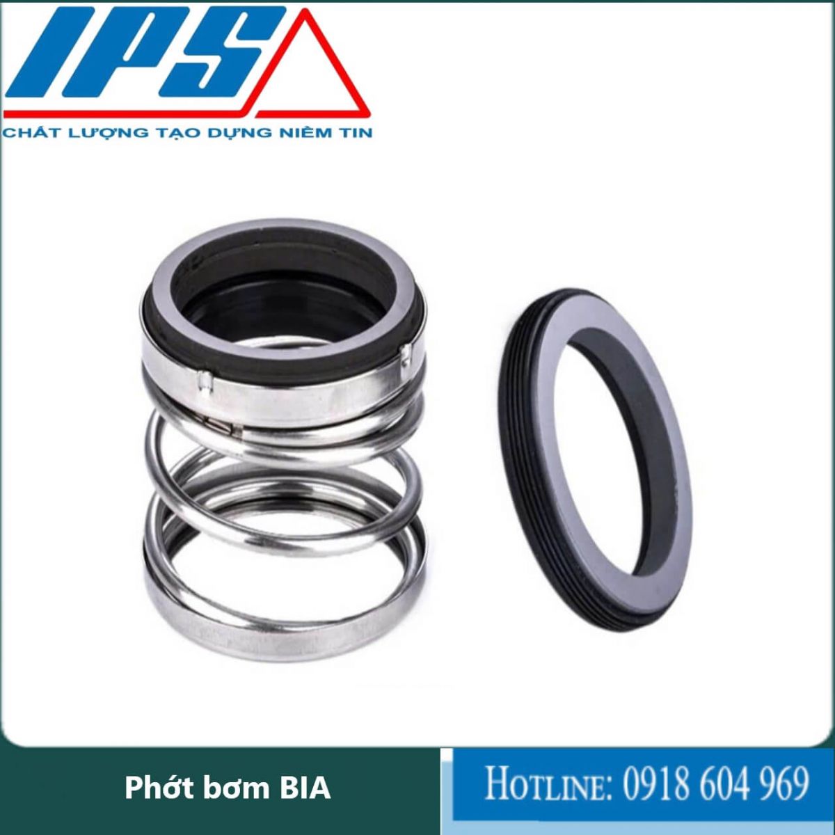 Phớt bơm BIA-4(1)